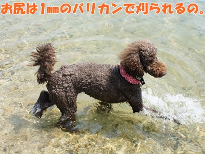 fio