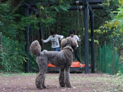 izu4