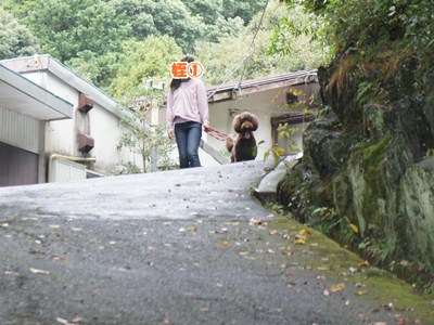 izu1
