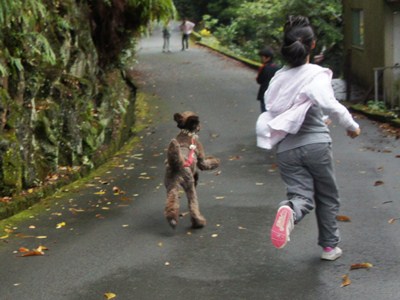 izu2