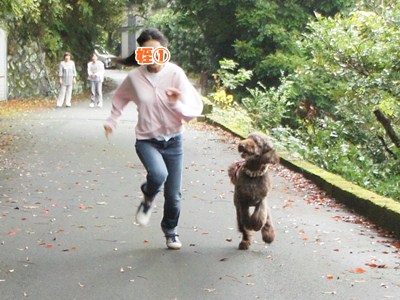 izu3