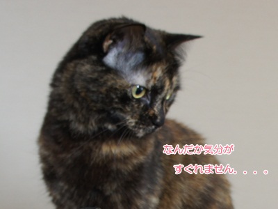 nya1