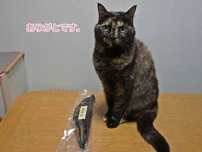 nya2