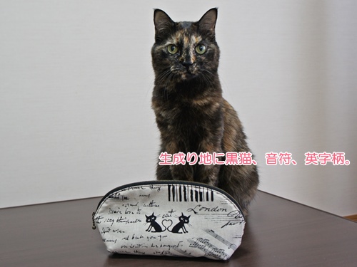 nya2