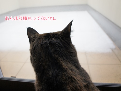 nya1