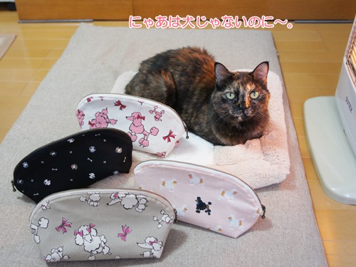 nya4
