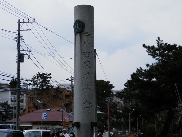P000005.jpg