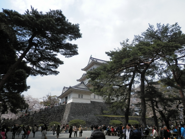 P000006.jpg