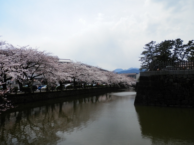 P000008.jpg