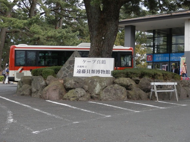 P000011.jpg