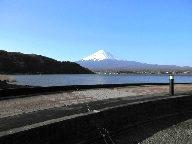 P000021.jpg