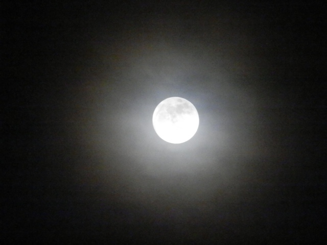 P000049.jpg
