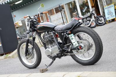 DSC_3533 (800x530)