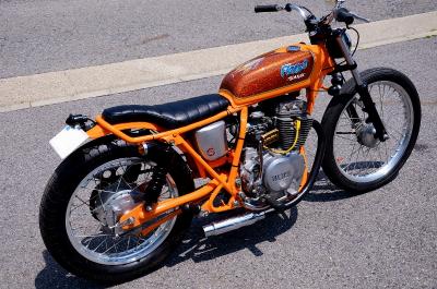 DSC_3589 (800x530)