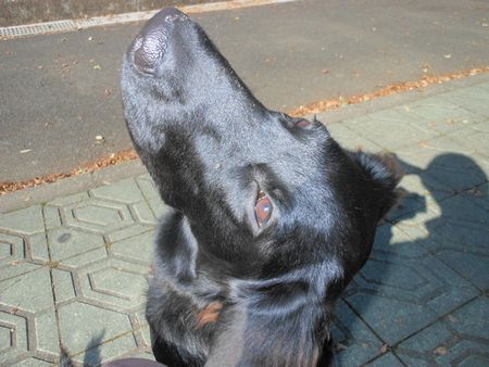 004_20111028130810.jpg