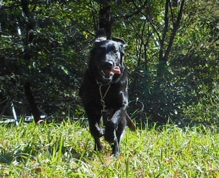 008_20111106185648.jpg