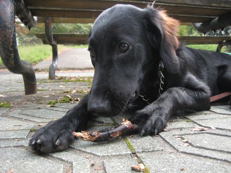 017_20111012121627.jpg