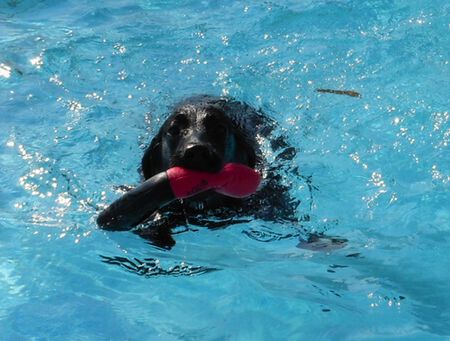 082_20111124124751.jpg
