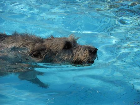 083_20111124124751.jpg