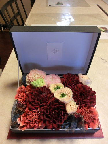 20120403016.jpg