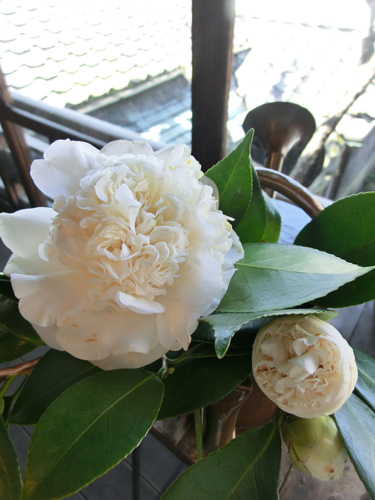 20120403019.jpg