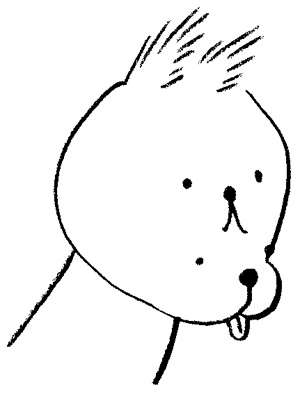 face2.jpg