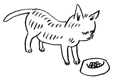 nyan.jpg