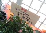 sweet rosa
