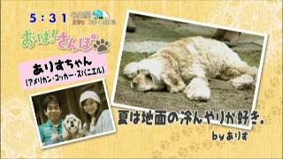 おは さんぽ