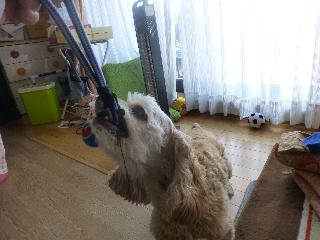 P1000045.jpg