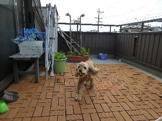 P1000065.jpg