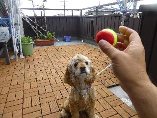 P1000067.jpg