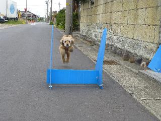 P1000071.jpg
