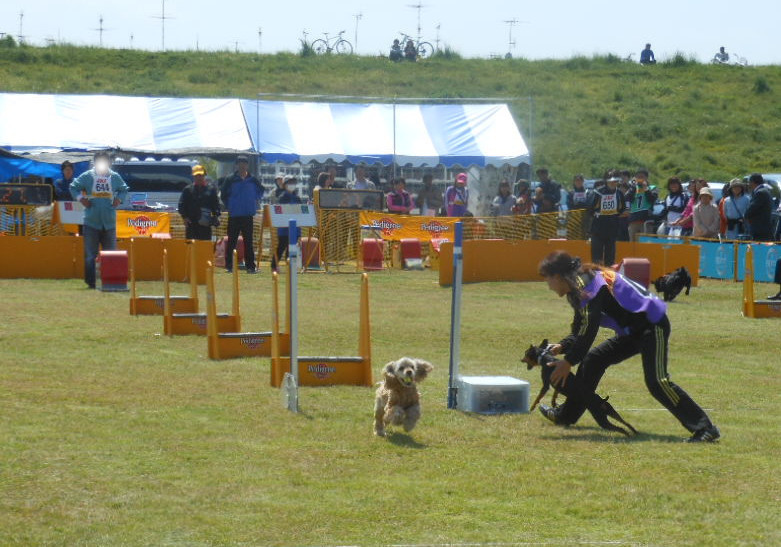 o0781054712519823216.jpg