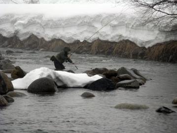 20120318024.jpg