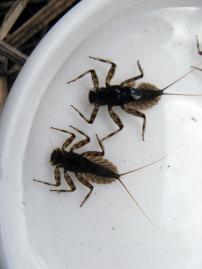 20120324209.jpg