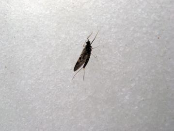 20120324236.jpg