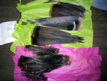 20120424009.jpg