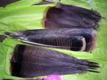 20120424010.jpg