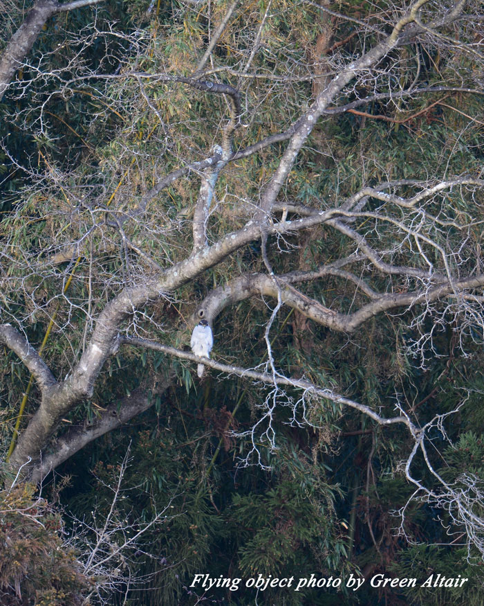 DSC_8971.jpg