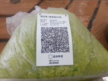 QR000395_吉川市_山崎_白菜①