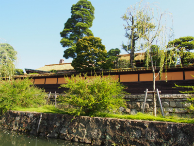 P1010459.jpg