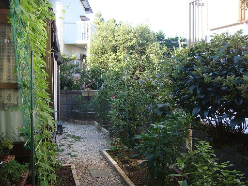 DSC00702.jpg