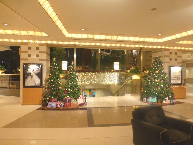 P1060009.jpg