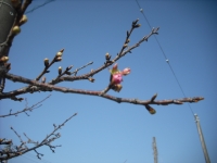 001_201402172102097b6.jpg