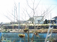 004_201401281957557ee.jpg