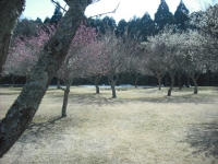 010_20140222180351ded.jpg
