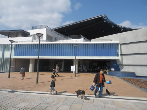 P3030446.jpg