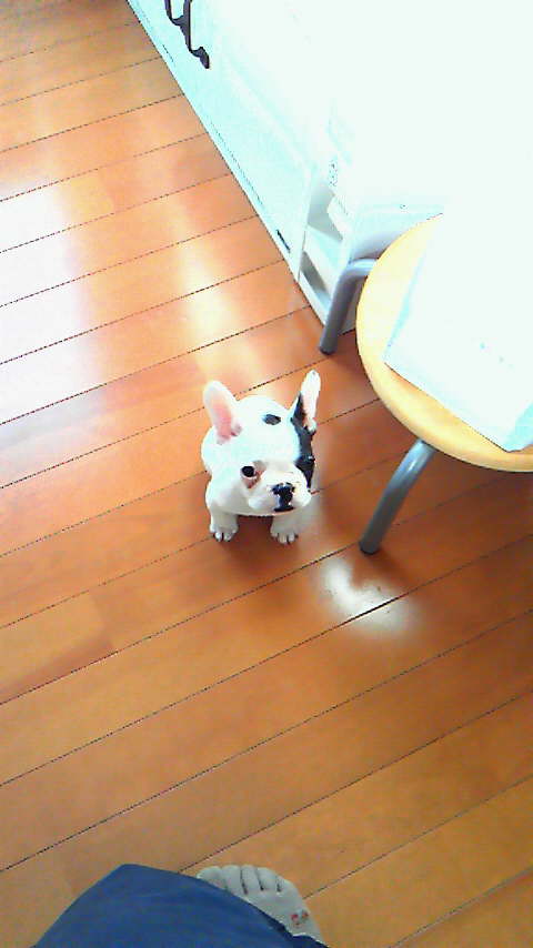 201110261348000.jpg