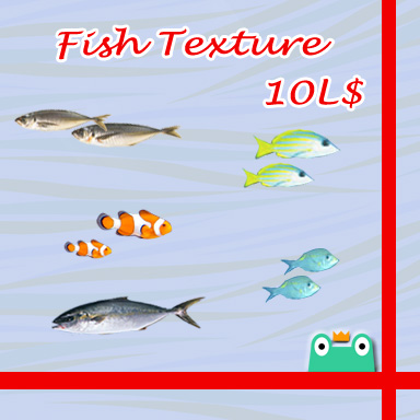 お魚テクス 箱